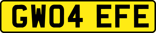 GW04EFE