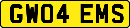 GW04EMS