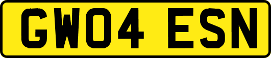 GW04ESN