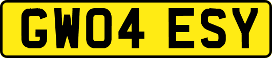 GW04ESY