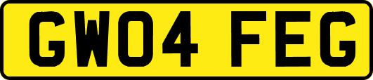 GW04FEG
