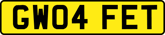 GW04FET