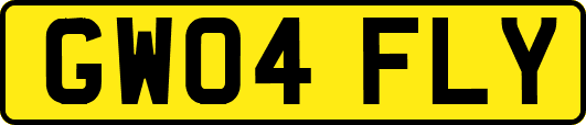 GW04FLY
