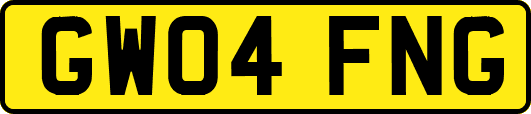 GW04FNG