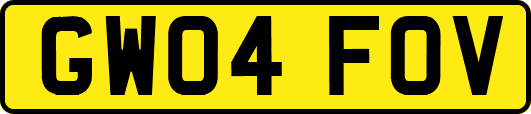 GW04FOV