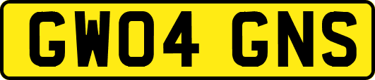 GW04GNS
