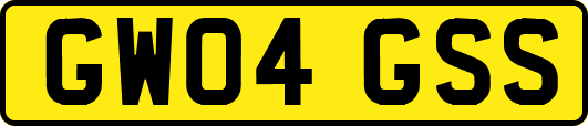 GW04GSS