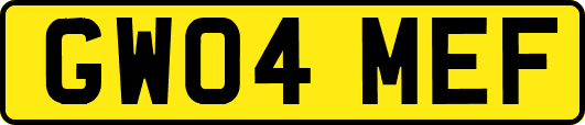 GW04MEF