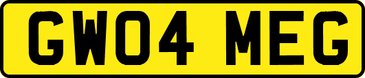 GW04MEG