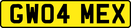 GW04MEX
