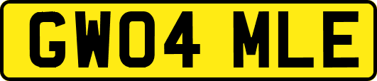 GW04MLE