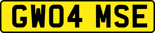 GW04MSE