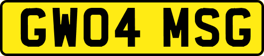 GW04MSG
