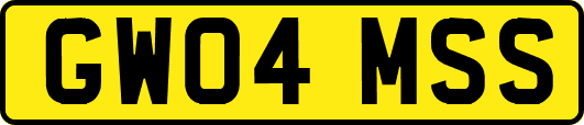 GW04MSS