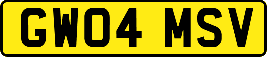 GW04MSV