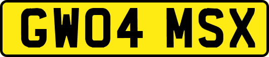 GW04MSX