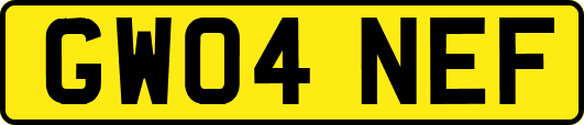 GW04NEF