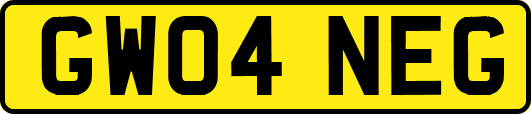 GW04NEG