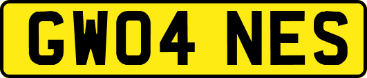 GW04NES