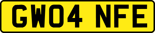 GW04NFE