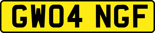 GW04NGF