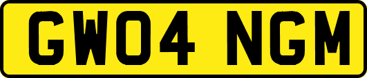 GW04NGM
