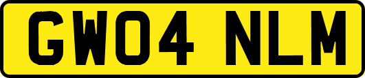 GW04NLM