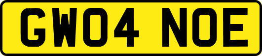 GW04NOE