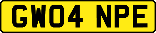 GW04NPE
