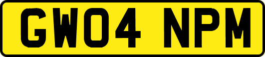 GW04NPM