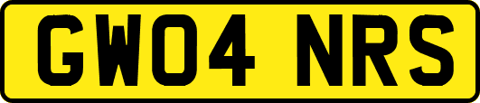 GW04NRS