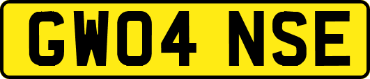 GW04NSE