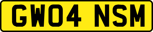 GW04NSM