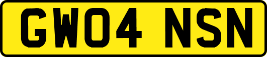 GW04NSN