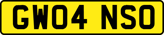 GW04NSO