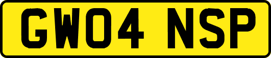 GW04NSP