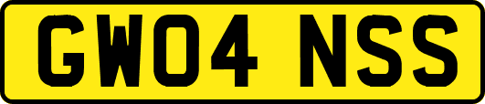 GW04NSS