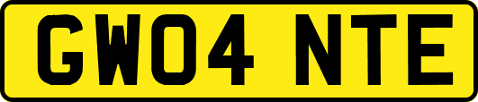 GW04NTE