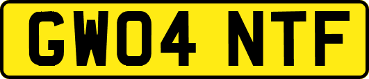GW04NTF