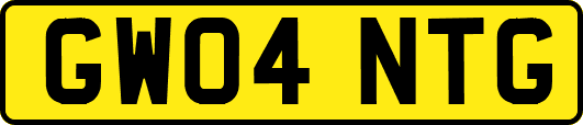 GW04NTG