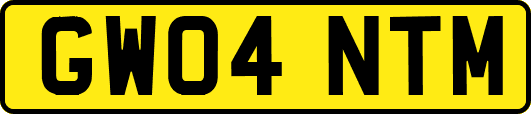 GW04NTM