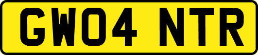 GW04NTR