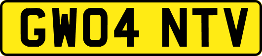 GW04NTV