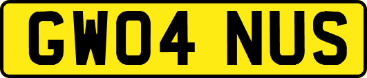 GW04NUS