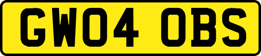GW04OBS