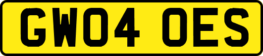 GW04OES