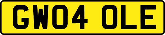 GW04OLE