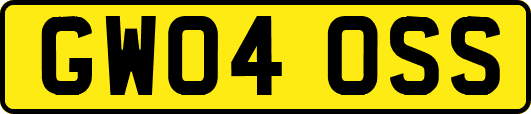GW04OSS