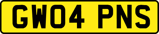 GW04PNS