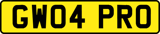 GW04PRO